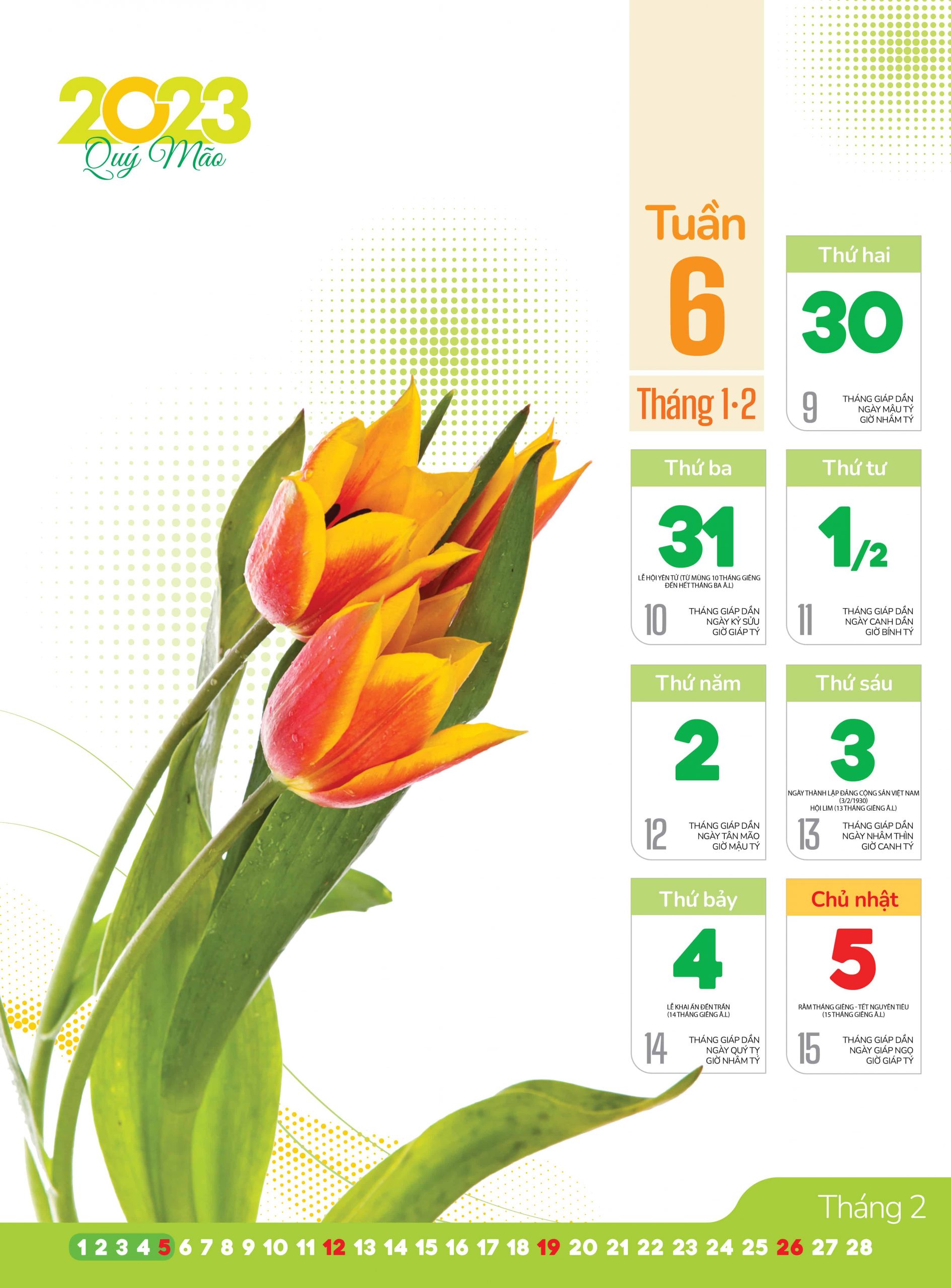 Những bông hoa tươi đẹp trang 53 lịch bloc mang lại sức sống và sự lạc quan cho mọi người
