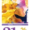 Lịch bloc PN01